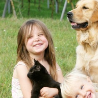 Shepherd Huntley Animal Clinic – Shepherd Montana – Community News, Shepherd High School Events, Weather, Sports, Business, Classifieds & More Shepherd Huntley Animal Clinic – Shepherd Montana – Community News, Shepherd High School Events, Weather, Sports, Business, Classifieds & More